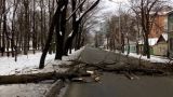 На Ставрополье из-за урагана без электроснабжения остались более 35 тысяч человек