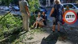 В Киеве дерево упало на проходящую по улице девушку