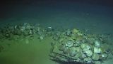 Во Франции во время учений ВМС обнаружили затонувший корабль XVI века
