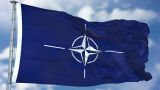 Штаб-квартира НАТО анонсировала встречу министров обороны альянса
