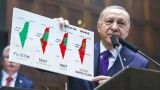 Турция, Израиль и Палестина: о политике и позиции Анкары — интервью с тюркологом