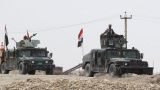 Иракская армия заканчивает зачистку Фаллуджи