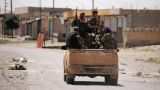 СМИ: от ДАИШ освобождена четверть территории сирийской Ракки