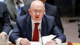 Постпред России в Совбезе ООН призвал разморозить финансовые активы Афганистана