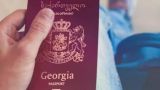 Гражданство Грузии в 2017 году получили 3 тыс. иностранцев