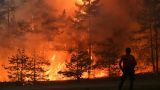Синоптики МЧС предупредили о природных пожарах в пяти регионах