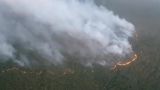 В Магаданской области лесные пожары распространились на 77 тысяч гектаров