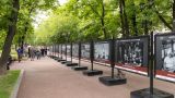 В Москве открылась фотовыставка о событиях в Курской области
