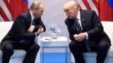 СМИ: Путин и Трамп близки к заключению «сирийской сделки»
