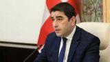 Папуашвили: За Грузию никто не будет проливать кровь, мы останемся одни
