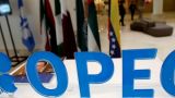 ОПЕК+ предлагает нарастить нефтедобычу на 1 млн баррелей