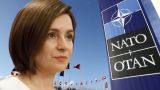 Санду: Молдавия изучает перспективы отказа от нейтралитета и вступления в НАТО