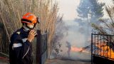 На юге Франции сгорело 10 тысяч гектаров леса