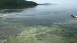 Микробиологическая катастрофа в Байкале: озеро становится мутным