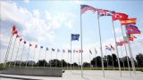 Базарное обаяние Североатлантического альянса: НАТО предстало благотворителем