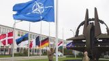 Telegraph: Лондон обиделся на Вашингтон из-за поста генсека НАТО