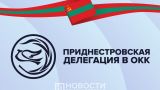 У Приднестровья будет новый сопредседатель в руководстве миротворцами
