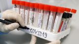 ВОЗ: Смертность от коронавируса в мире снизилась на 47%