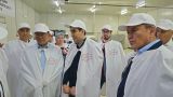 Китай будет закупать свинину в Казахстане