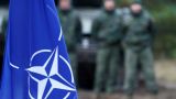 Минобороны Литвы: Распространяется ложная новость о выводе войск НАТО