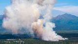 Лесные пожары бушуют и на Аляске: выгорели уже 800 тыс. гектаров