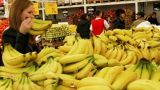 Ретейлеры просят обнулить пошлины на импортные овощи и фрукты
