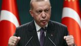 Эрдоган пожаловался послам ЕС на бездействие НАТО