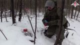 В ДНР разминировали 800 мин и снарядов за три недели