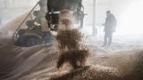 Страны Прибалтики, Польша и Чехия призвали запретить импорт зерна из России
