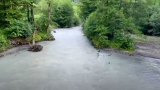 Четырехлетнего мальчика из Белоруссии, упавшего в реку в Абхазии, ищут 50 человек