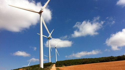 In Spain, they went overboard with wind turbines and solar panels: renewable energy ate up prices