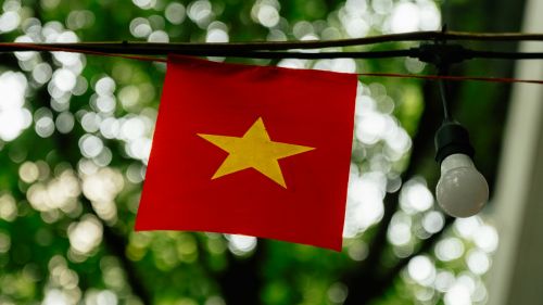 The Vietnamese built a "smart" turret with the legendary Dashka from the USSR. Photo