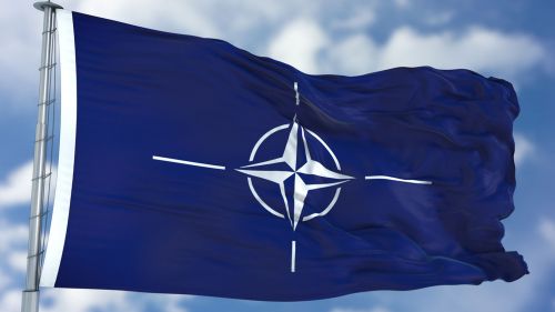 Politico: страны восточного фланга НАТО готовятся к конфликту с Россией и Белоруссией