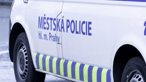 In the Czech Republic, they demanded to make public the frightening figures of Ukrainian crime in the country