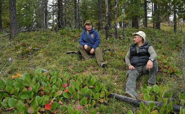 Путин и шойгу в тайге фото