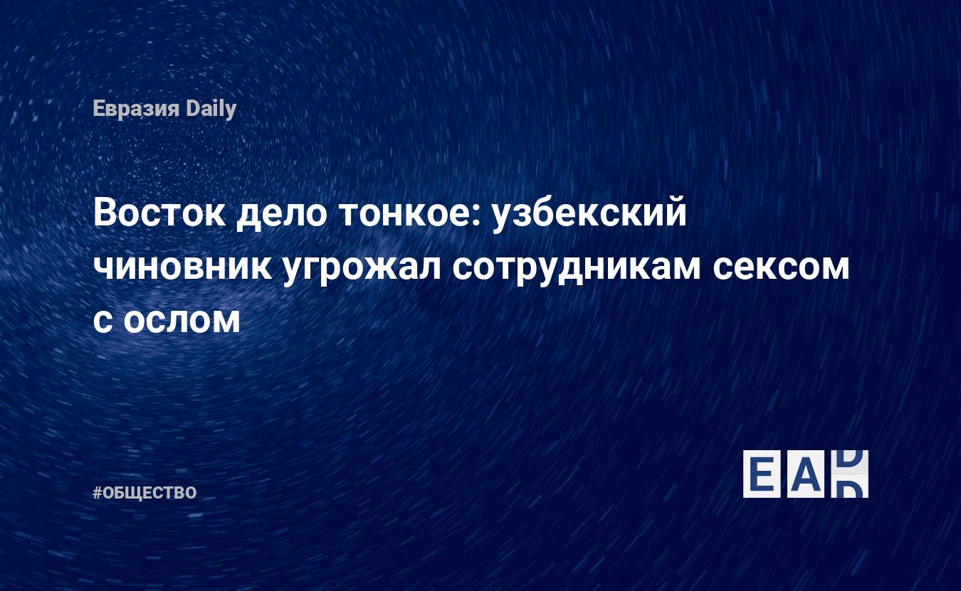 Восток дело тонкое: узбекский чиновник угрожал сотрудникам сексом с ослом —  EADaily, 5 марта 2019 — Общество. Новости, Новости Азии