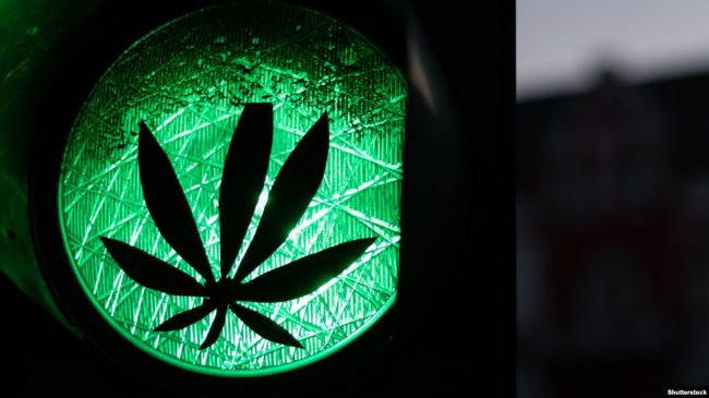 Законы финляндии о марихуане аддоны для tor browser hydra