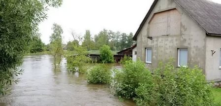 действительно. Всё выше африканское сафари порно онлайн посетила просто