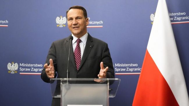 Глава МИД Польши: Россия превосходит Европу в развитии боевых дронов