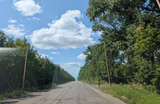 б