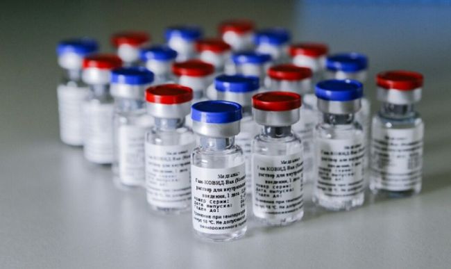 Российская вакцина от коронавируса гарантирует иммунный ответ — РФПИ